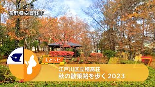 江戸川区立穂高荘 秋の散策路を歩く2023 [upl. by Placia]