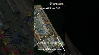 Japan Airlines 516 Crash On FlightRadar24 a350 crash japanairlines 516 [upl. by Borries779]