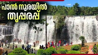 പാൽ നുരയിൽ തൃപ്പരപ്പ്  Thiruparappu Waterfalls  Kerala Tourism [upl. by Bahr]