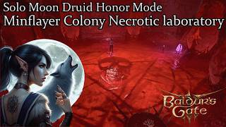 Solo Moon Druid Necrotic Laboratory Honor Run [upl. by Ellerred457]