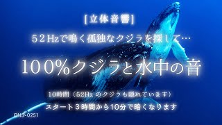 【睡眠用BGM・クジラ 鳴き声・52ヘルツのクジラ】52Hzのクジラを探して…100クジラの鳴き声  水中 音 睡眠 水の音 睡眠 鯨の鳴き声 海の中の音深海の音ASMRONS0251 [upl. by Sackman83]