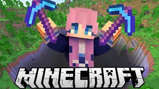 The Big Hole  Ep 4  Minecraft S0S [upl. by Bor110]