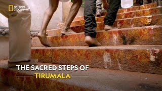 A Sacred Journey to Lord Venkateswara  Inside Tirumala Tirupati  हिंदी  S1  E1  Nat Geo [upl. by Rot586]