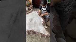 Whole sheep skin cutting process unfold [upl. by Xad]