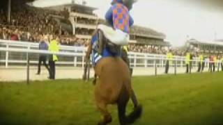 Cheltenham Memories 2009 [upl. by Lyred]