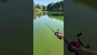 Best fishing rod and fishing baits youtubeshorts [upl. by Eimmas]