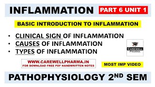 Inflammation  Clinical Signs  Causes  Types  Ch 2 U 1  Pathophysiology B Pharm 2nd Semester [upl. by Josey]