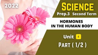 SCIENCE  Prep3  Hormones in the Human Body 1  Unit 4 [upl. by Dickie660]