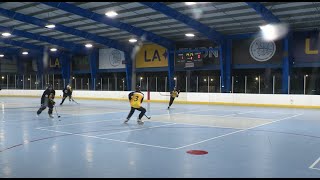 Wilson Park’s New Roller Hockey Rink [upl. by Bazar]