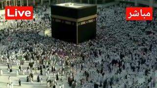 Makkah LiveMecca LiveMakkah Live HD TvMakkah Live Today Now [upl. by Zandt]