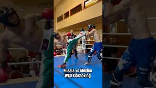 Head Kick Knockdown 1st Round TKO KickboxingFight  Russia vs Mexico kickboxing martialarts [upl. by Nede]