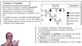 Solution exercice génétique humaine SM SN 2019 [upl. by Spitzer]