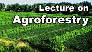 Lecture on Agroforestry  Agroforestry systems  Alternate Land Use System ASCO JagadishJena [upl. by Sension]