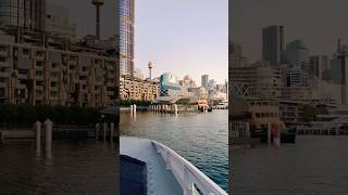 Sydney Ferries 💚 Barangaroo Wharf shorts ferry transport sydneyferries [upl. by Arrek]