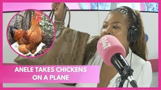 Anele takes chickens to Cape Town On a plane [upl. by Oivalf536]