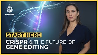 CRISPR What is the future of gene editing  Start Here [upl. by Cullen]