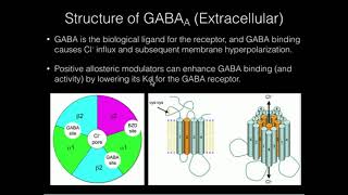 The GABAa Receptor amp Positive Allosteric Modulation [upl. by Ahsik]