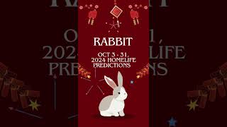 🐰 Rabbit Homelife Predictions October 3  31 2024 chineseastrology [upl. by Stander]