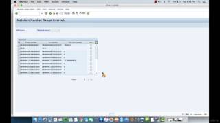 010 Defining Number Ranges for Material Types in SAP MM [upl. by Josefa]