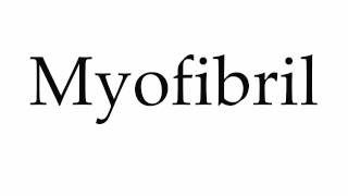 How to Pronounce Myofibril [upl. by Marrilee]