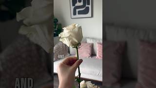 Reviving dead roses life hack 🥀🌹 shorts roses lifehack freshflowers wife [upl. by Brey]