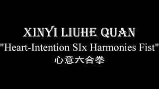 SÌ BǍ CHUÍ • XINYI LIUHE QUAN 心意六合拳 [upl. by Frantz475]