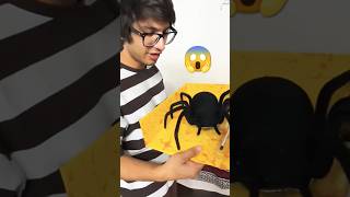 Fack Spider Prank 🤣😂 funny spider vlog souravjoshivlogs kunali shorts [upl. by Eelan]