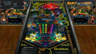 Surf N Safari VPX Gameplay GottliebPremier 1991 [upl. by Ahcirt]