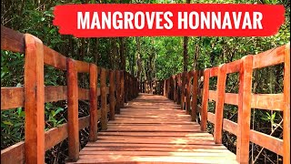 Sharavathi Kandla Mangrove Boardwalk  Honnavar Mangrove [upl. by Hodgkinson460]