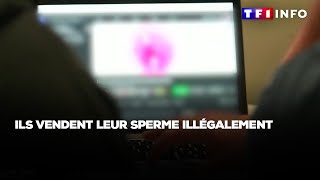 Ils vendent leur sperme illégalement [upl. by Namad259]