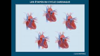 Prochaine vidéo  le cycle cardiaque expliqué [upl. by Danyelle382]