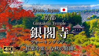 Autumn Leaves at Ginkakuji Temple in Kyoto Japan  World Heritage Site 4K [upl. by Darcey]