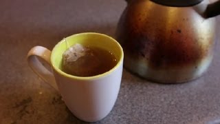 How to Make Ojibwa Tea  Types of Tea [upl. by Vincelette51]