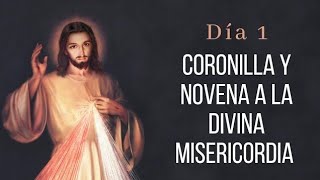 Coronilla y Día 1 Novena a la Divina Misericordia  Wilson Tamayo  Viernes 29 de Marzo [upl. by Aivull128]