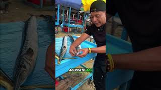 ESTE gran Pescado se llama Pez Aguja pesca pescador shorts [upl. by Dino20]