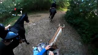 sep 2022  Gopro western horse trail ride new fastest speed [upl. by Sumahs173]