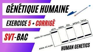 ✅SVTBac GÉNÉTIQUE HUMAINE Analyse des résultats délectrophorèse dADN  Exercice 5  Corrigé [upl. by Linker]