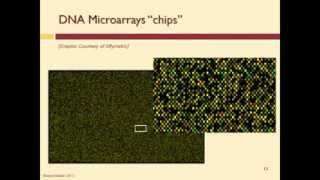 How Does a DNA Microarray Work [upl. by Niknar]