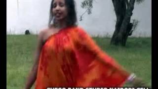 Sagal Arts Heestii GUDI New Video 2011flv [upl. by Ocirema834]