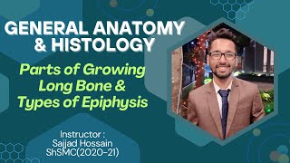 Parts of a Growing Long Bone amp Types of Epiphysis  Explained in Bangla [upl. by Riccardo]