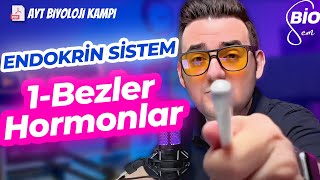 Endokrin Sistem1 Bezler ve Hormonlar  Ayt Biyoloji Konu Anlatımı 11 Sınıf  2024 [upl. by Eanej]