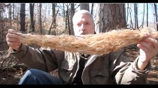 Processing Dogbane Fiber with Dave McIntyre [upl. by Attennaj]