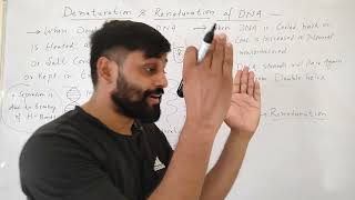 DNA Denaturation और Renaturation क्या होता है Dr Sams Biology [upl. by Silverstein]