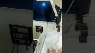 Ventilator Support for NICU New Born Baby viralvideo newbornbaby ventilador nicubaby nicu [upl. by Atinel]