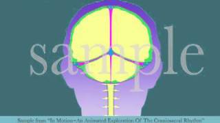 Intracranial Membrane System CSR Motion by Tad Wanveer [upl. by Corkhill]