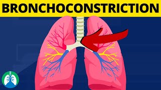 Bronchoconstriction Medical Definition  Quick Explainer Video [upl. by Fleur]