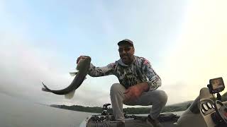 Bass Fishing Beltzville Lake PA [upl. by Onirefez]