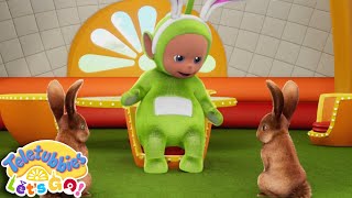 Teletubbies Lets Go  Lots and Lots of Rabbits  Shows for Kids [upl. by Iaria774]