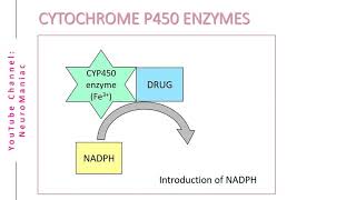 BIOCHEMISTRY  CYTOCHROME P450 ENZYMES AND OXIDATION PROCESS [upl. by Janey]