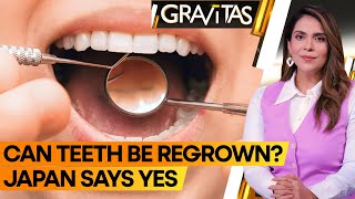 Gravitas Losing teeth This drug can regrow them  WION [upl. by Auhsej]